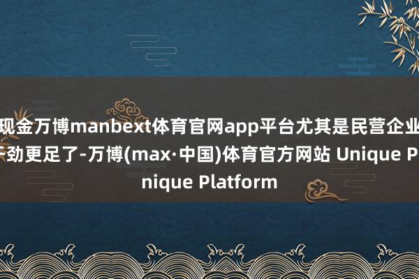 现金万博manbext体育官网app平台尤其是民营企业的发展干劲更足了-万博(max·中国)体育官方网站 Unique Platform