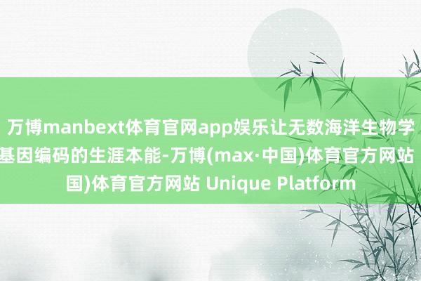 万博manbext体育官网app娱乐让无数海洋生物学家惊奇：这究竟是基因编码的生涯本能-万博(max·中国)体育官方网站 Unique Platform