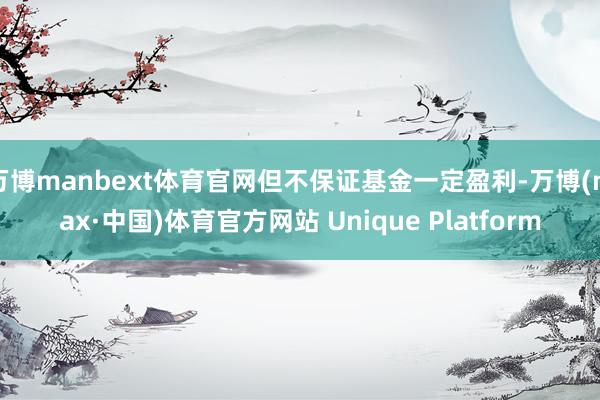 万博manbext体育官网但不保证基金一定盈利-万博(max·中国)体育官方网站 Unique Platform