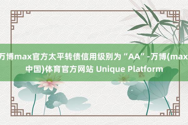 万博max官方太平转债信用级别为“AA”-万博(max·中国)体育官方网站 Unique Platform