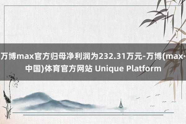 万博max官方归母净利润为232.31万元-万博(max·中国)体育官方网站 Unique Platform