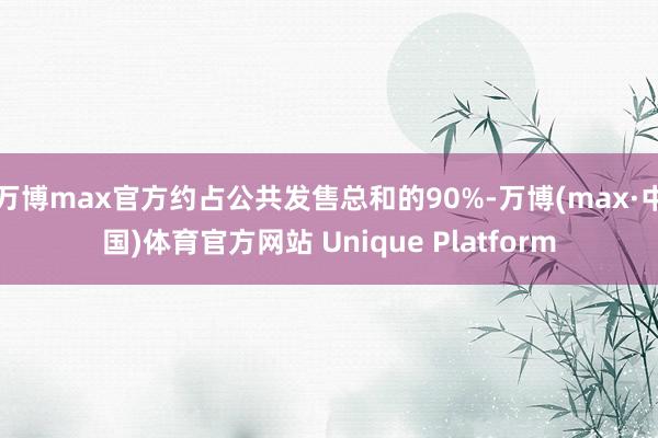 万博max官方约占公共发售总和的90%-万博(max·中国)体育官方网站 Unique Platform