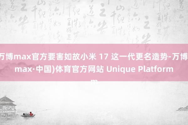 万博max官方要害如故小米 17 这一代更名造势-万博(max·中国)体育官方网站 Unique Platform