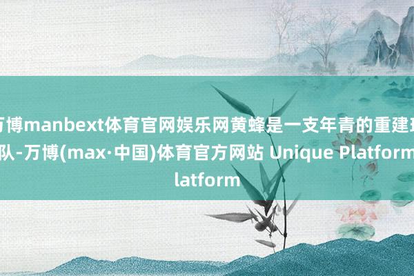万博manbext体育官网娱乐网黄蜂是一支年青的重建球队-万博(max·中国)体育官方网站 Unique Platform