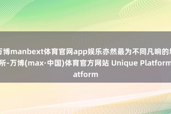 万博manbext体育官网app娱乐亦然最为不同凡响的场所-万博(max·中国)体育官方网站 Unique Platform